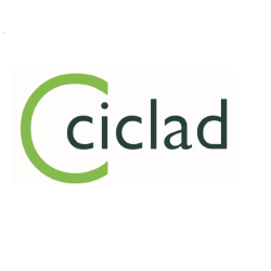 CICLAD 2b